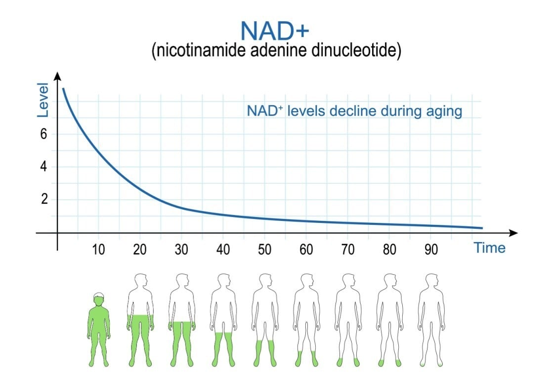 NMNとNAD+のイメージ