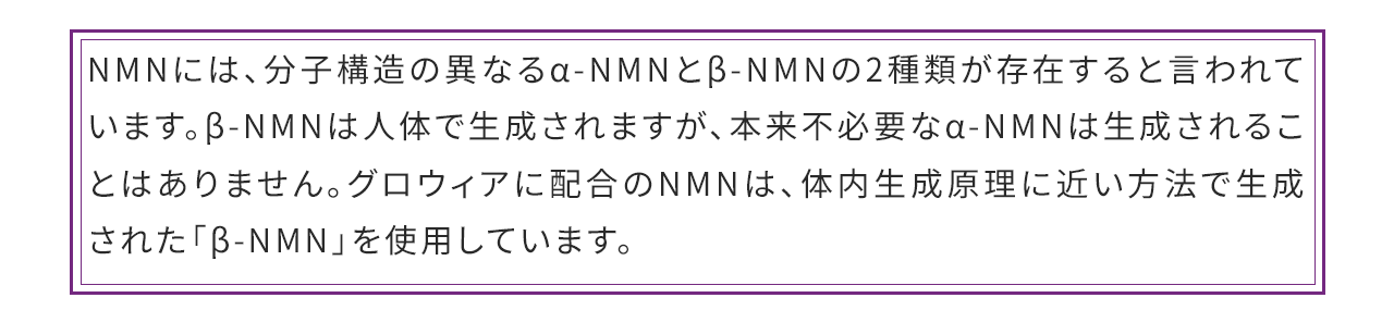 NMN補足