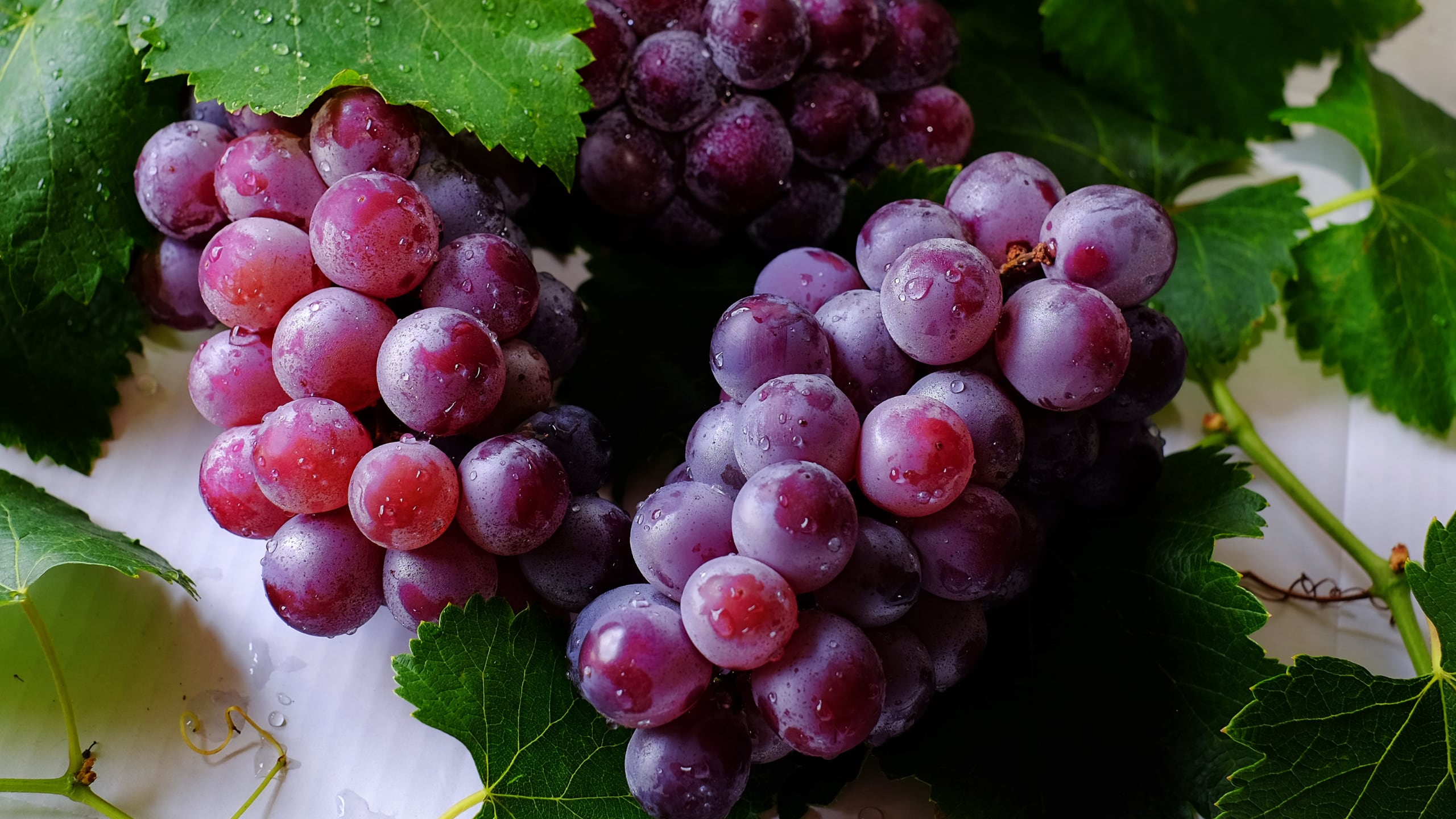 ブドウ（レスベラトロール）